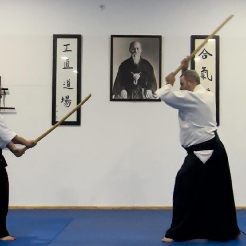 Técnica con jo en el tatami del dojo